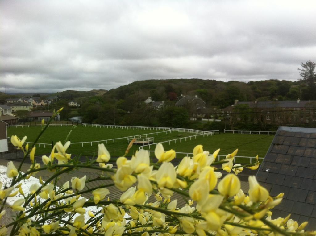 Errismore House Clifden Room photo